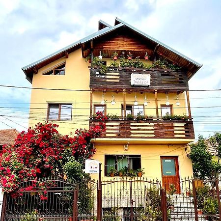 Pensiunea Cristiana Curtea de Argeş Exterior foto