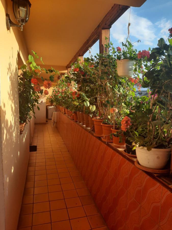 Pensiunea Cristiana Curtea de Argeş Exterior foto