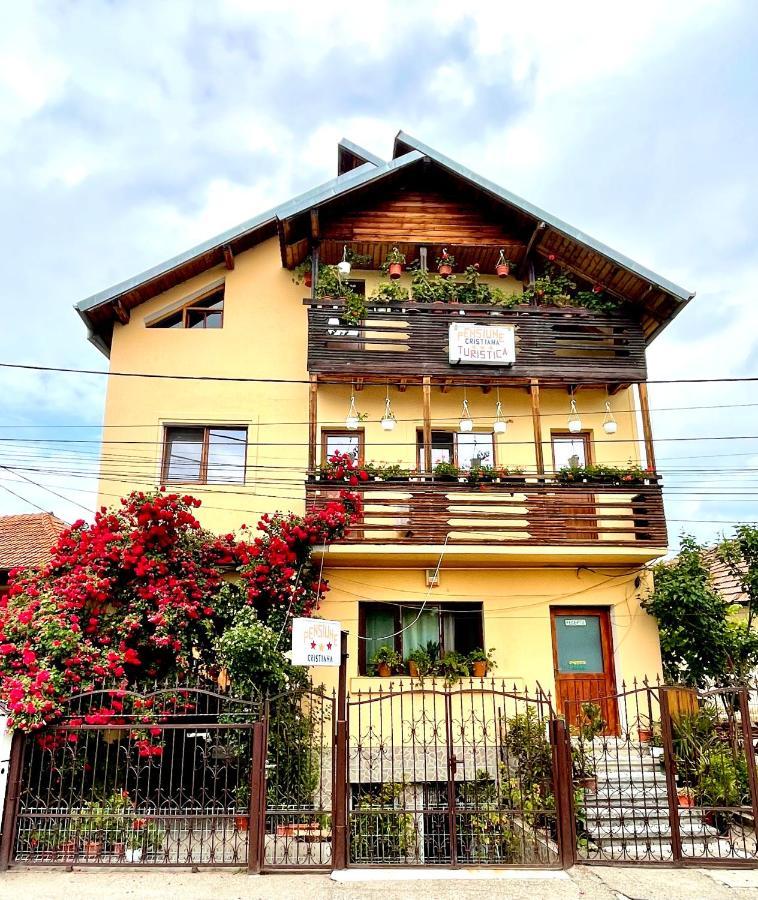 Pensiunea Cristiana Curtea de Argeş Exterior foto