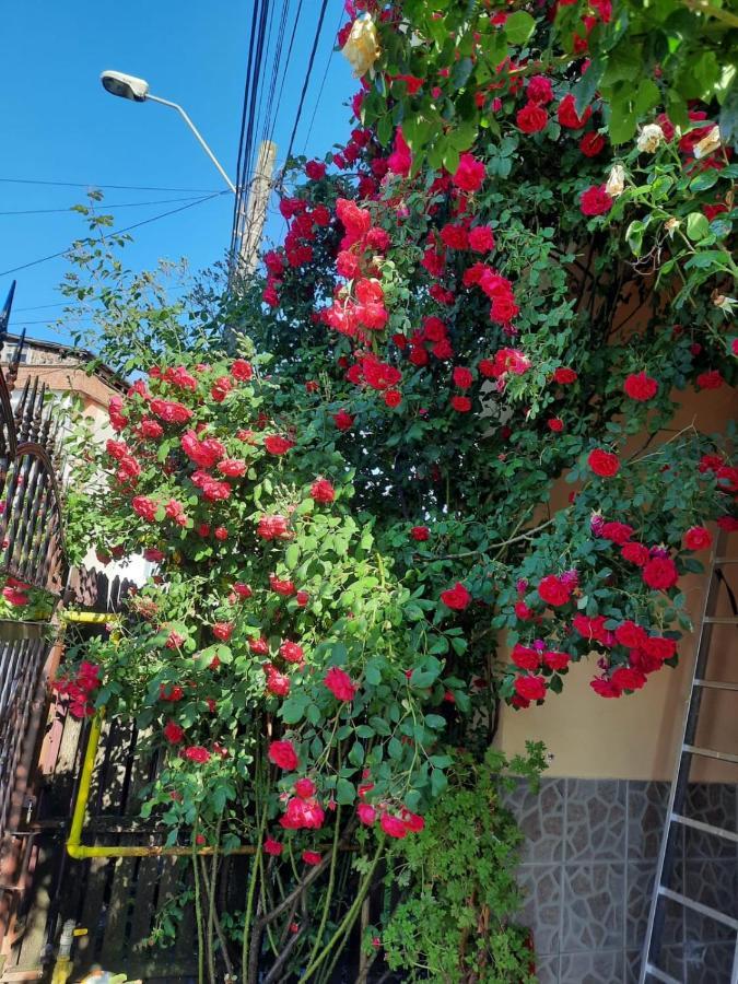 Pensiunea Cristiana Curtea de Argeş Exterior foto