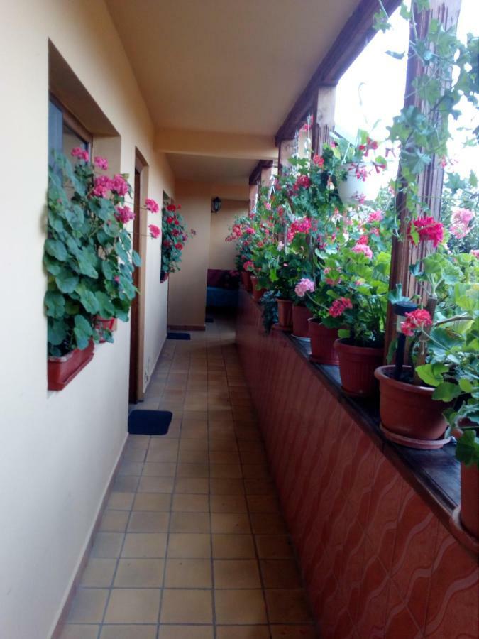 Pensiunea Cristiana Curtea de Argeş Exterior foto