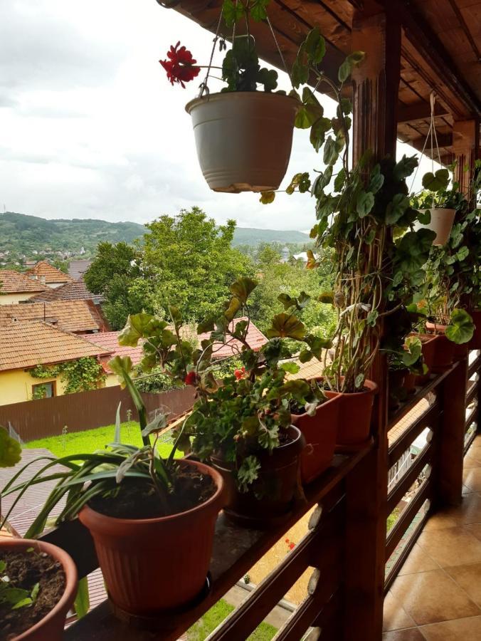 Pensiunea Cristiana Curtea de Argeş Exterior foto